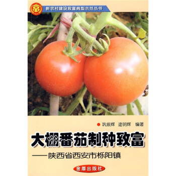 大棚番茄製種緻富—陝西省西安市櫟陽鎮 pdf epub mobi 下载