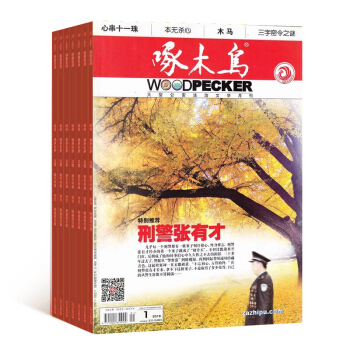 啄木鸟杂志 全年12期订阅 2018年8月起订 杂志铺 pdf epub mobi 下载