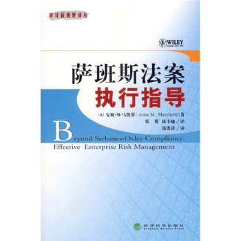 萨班斯法案执行指导 pdf epub mobi 下载