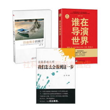 现货 边芹作品全三册 被颠覆的文明：我们怎么会落到这一步+沿途漫步的镜子+谁在导演世界 pdf epub mobi 下载
