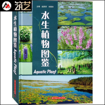 水生植物圖鑒 濕地公園彆墅庭院私傢花園 生態水景觀設計中的 水生植物應用介紹賞析書籍 pdf epub mobi 下载