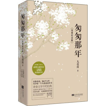 匆匆那年(完美纪念版) pdf epub mobi 下载