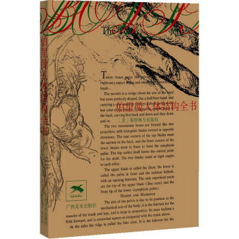 伯里曼人体结构全书 pdf epub mobi 下载