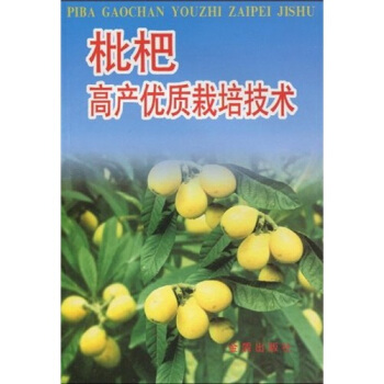 枇杷高産優質栽培技術 pdf epub mobi 下载