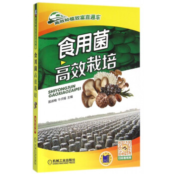 食用菌高效栽培/高效種植緻富直通車 pdf epub mobi 電子書 下載