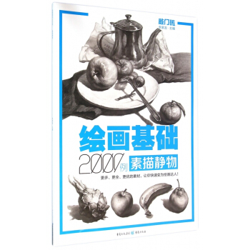 绘画基础2000例(素描静物)/敲门砖 pdf epub mobi 下载