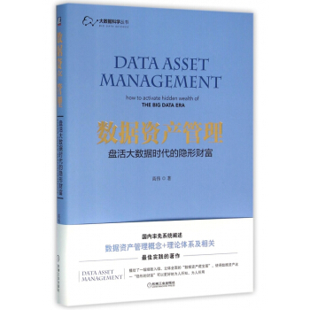 數據資産管理(盤活大數據時代的隱形財富)/大數據科學叢書 pdf epub mobi 下载