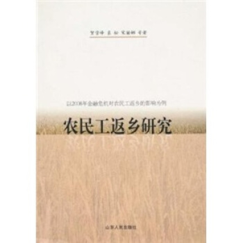 农民工返乡研究 pdf epub mobi 电子书 下载