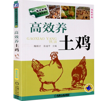 正版现货 高效养土鸡 双色印刷 高效养殖鸡养鸡的书 鸡养殖技术大全书籍 养鸡技术教材书 养 pdf epub mobi 电子书 下载