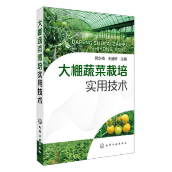 新正版 大棚蔬菜栽培实用技术 大棚种植技术书籍 蔬菜高效栽培关键技术教程 蔬菜种植知识大全