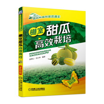 正版 高效种植技术书籍 棚室甜瓜高效栽培（高效种植致富直通车） pdf epub mobi txt 电子书 下载