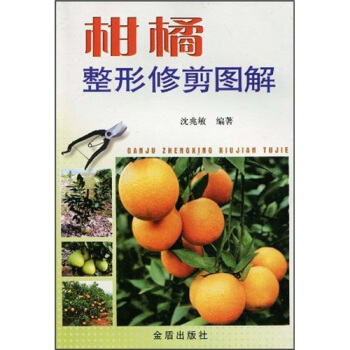 柑橘整形修剪图解 pdf epub mobi 电子书 下载