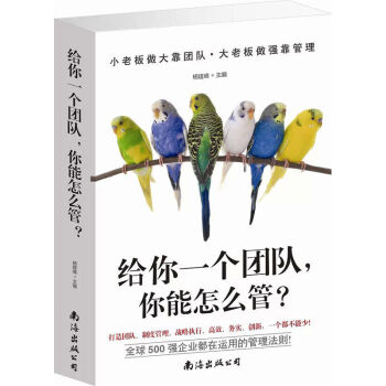 給你一個團隊，你能怎麼管？（平裝）打造團隊 管理製度 戰略執行全球500強都在用的管理法則 pdf epub mobi 下载