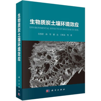 生物质炭土壤环境效应 pdf epub mobi 下载