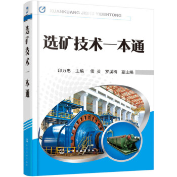 选矿技术一本通 pdf epub mobi 下载