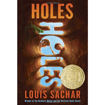 英文原版Holes (DG) 洞