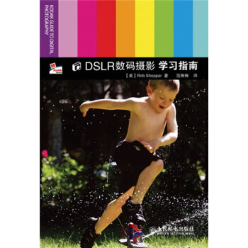 DSLR数码摄影学习指南 pdf epub mobi 下载