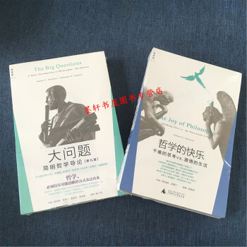 理想国 套装共2册:大问题:简明哲学导论(9版)+哲学的快乐:干瘪的思考 罗伯特·所罗门哲学书