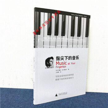 指尖下的音乐 （美）露丝·史兰倩丝卡 著 理想国 pdf epub mobi 下载