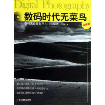 数码黑白摄影从入门到精通 (全新版) pdf epub mobi 下载