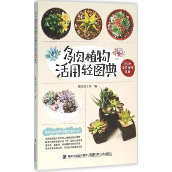 多肉植物活用轻图典 pdf epub mobi 下载