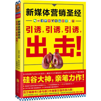 新媒体营销圣经 pdf epub mobi 下载
