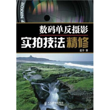 数码单反摄影实拍技法精修 pdf epub mobi 下载