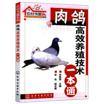 正版 肉鸽高效养殖技术一本通 肉鸽养殖技术书籍 养鸽子的书籍 科学养殖肉鸽病害防治教程