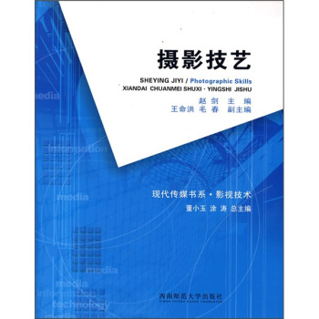摄影技艺 pdf epub mobi 下载