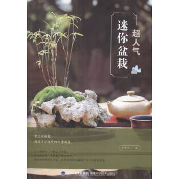 超人气迷你盆栽 家居 书籍 pdf epub mobi 下载