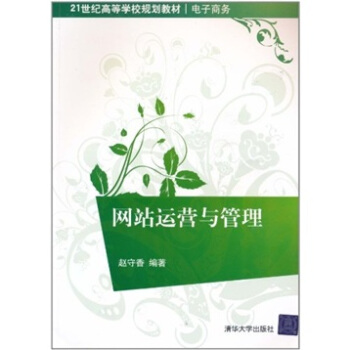 网站运营与管理 pdf epub mobi 下载