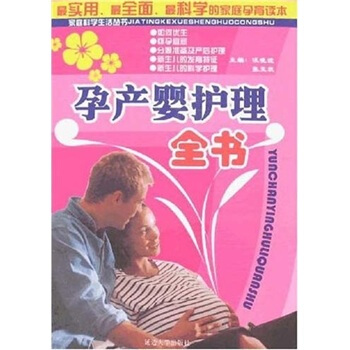 孕产婴护理全书 pdf epub mobi 下载
