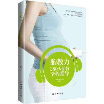 胎教力 pdf epub mobi 下载