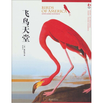 飛鳥天堂 pdf epub mobi 下载