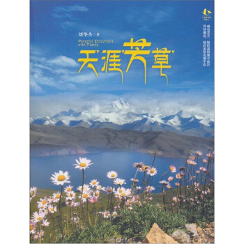 天涯芳草 pdf epub mobi 下载