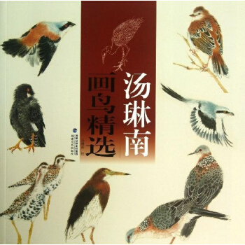 湯琳南畫鳥精選 pdf epub mobi 下载