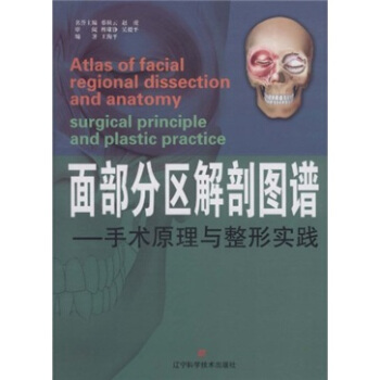 麵部分區解剖圖譜：手術原理與整形實踐 pdf epub mobi 下载