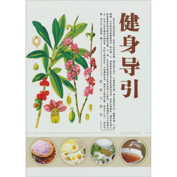 健身导引 pdf epub mobi 下载