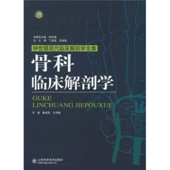 骨科臨床解剖學 pdf epub mobi 下载