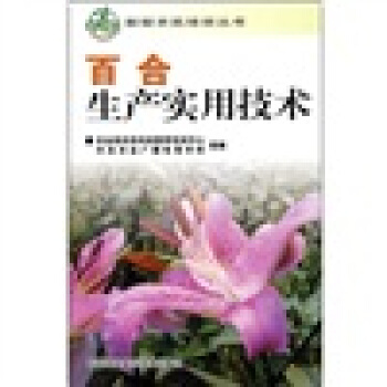 百合生产实用技术 pdf epub mobi 下载