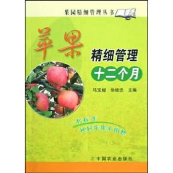 苹果精细管理十二个月 pdf epub mobi 电子书 下载