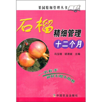 石榴精细管理十二个月 pdf epub mobi 下载