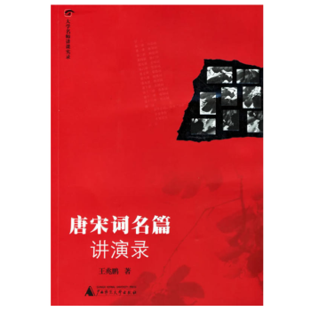 大學名師講課實錄：唐宋詞名篇講演錄（含CD） 王兆鵬 著 廣西師範本社 pdf epub mobi 電子書 下載