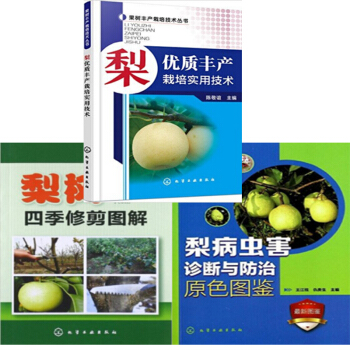 包郵 梨優質豐産栽培實用技術+梨樹四季修剪圖解+梨病蟲害診斷與防治原色圖鑒 3本 pdf epub mobi 下载