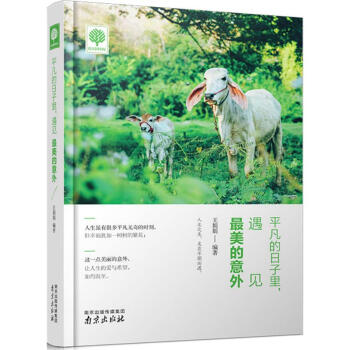 平凡的日子里,遇见最美的意外