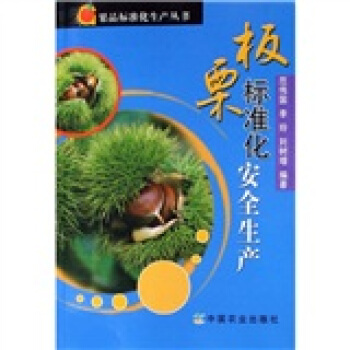 闆栗標準化安全生産 pdf epub mobi 下载