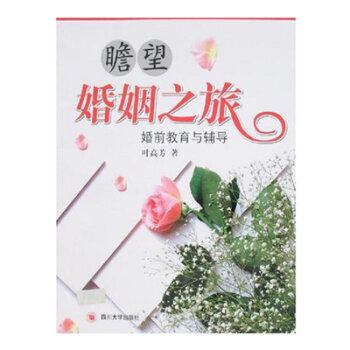 瞻望婚姻之旅——婚前教育与辅导 pdf epub mobi 下载