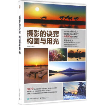 攝影的訣竅 pdf epub mobi 下载