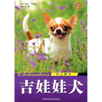 天之骄子：吉娃娃犬 pdf epub mobi 电子书 下载