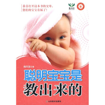 聪明宝宝是教出来的 pdf epub mobi 下载
